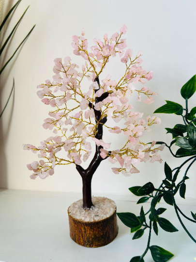 Rose Quartz crystal tree 300 crystals