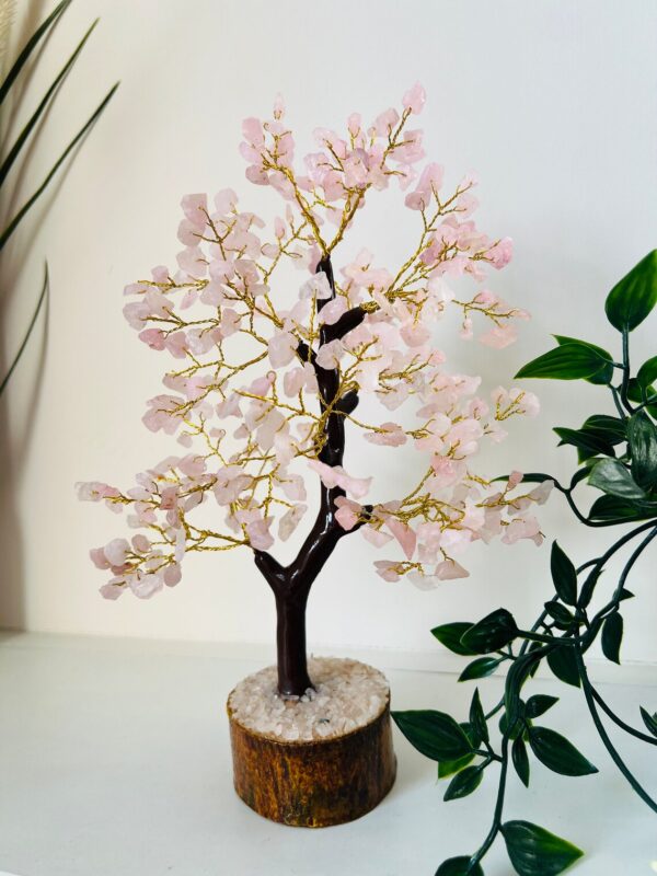 Rose Quartz crystal tree 300 crystals