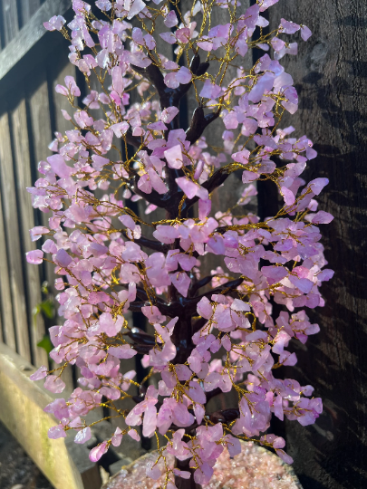 Large Rose Quartz Crystal Tree