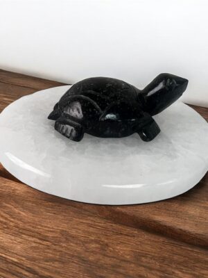 Black Tourmaline Turtle Figurine – Hand-Carved Healing Crystal Stone for Protection, Energy, Luck & Home Decor (50-60g, 6cm)