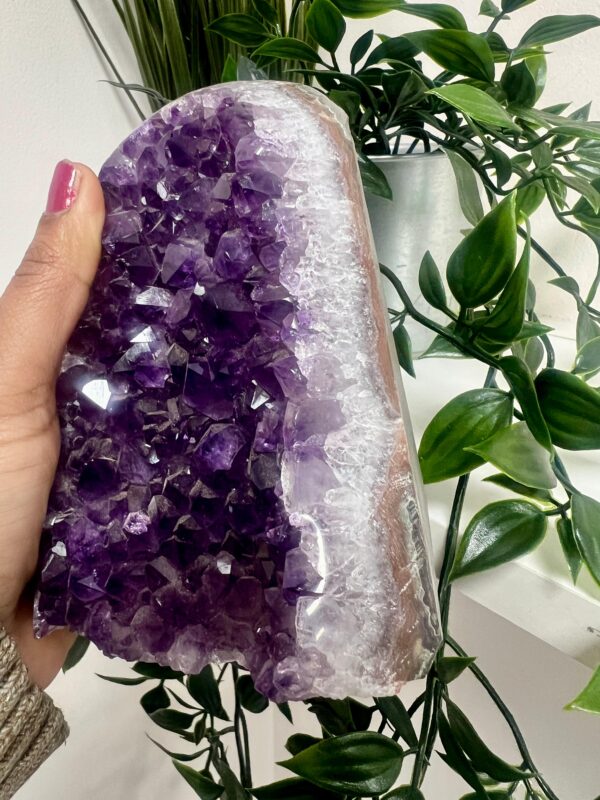 Brazilian Amethyst Geode 5"-  Natural Purple Quartz Crystal Cluster