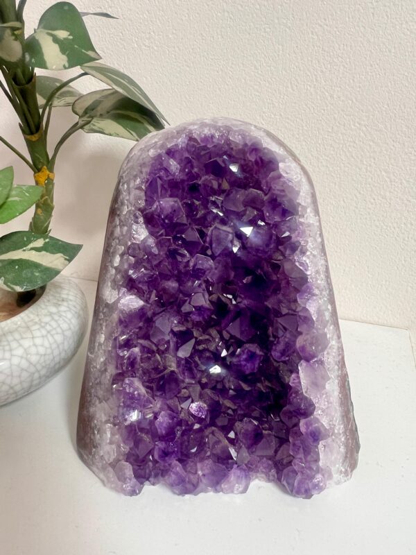 Brazilian Amethyst Geode 5"-  Natural Purple Quartz Crystal Cluster